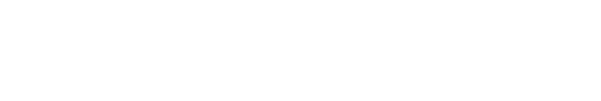 stony-brook-university-logo-horizontal-white-300