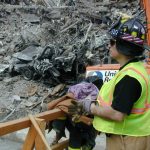 WTC worker at ground zero, post 9/11